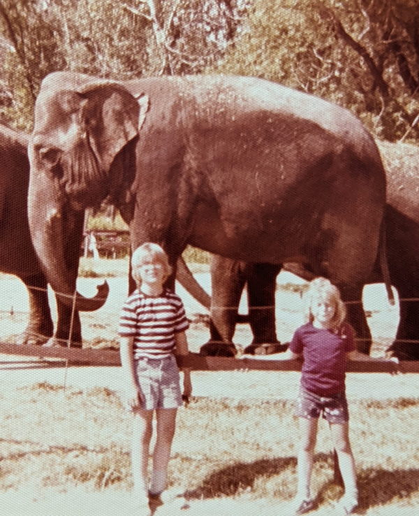 Kings Animaland Park - From Greg On Facebook (newer photo)